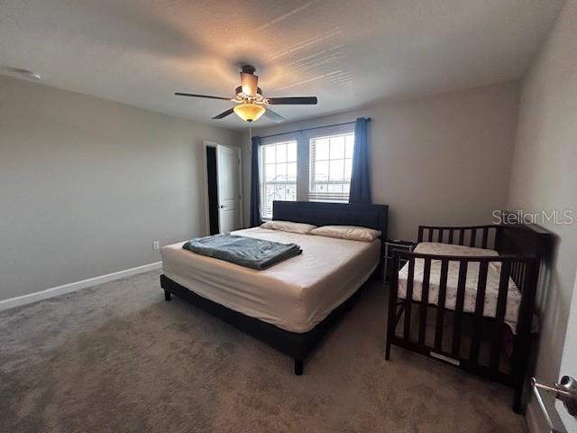 25072 LAMBRUSCO LOOP, LUTZ, FL, 33559