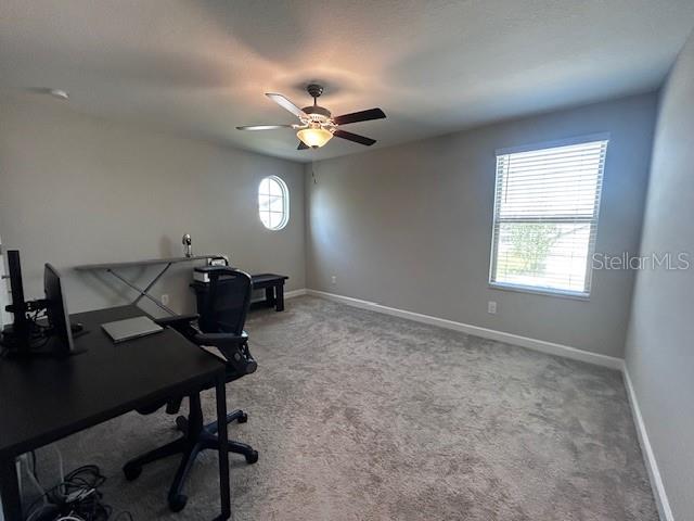 25072 LAMBRUSCO LOOP, LUTZ, FL, 33559