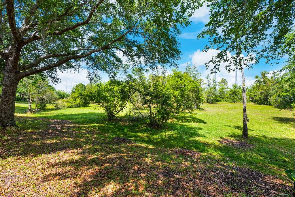 11817 GREAT COMMISSION WAY, ORLANDO, FL, 32832