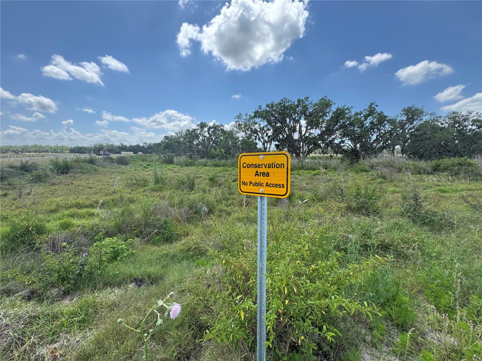 14057 CRUTCHFIELD CT, PARRISH, FL, 34219