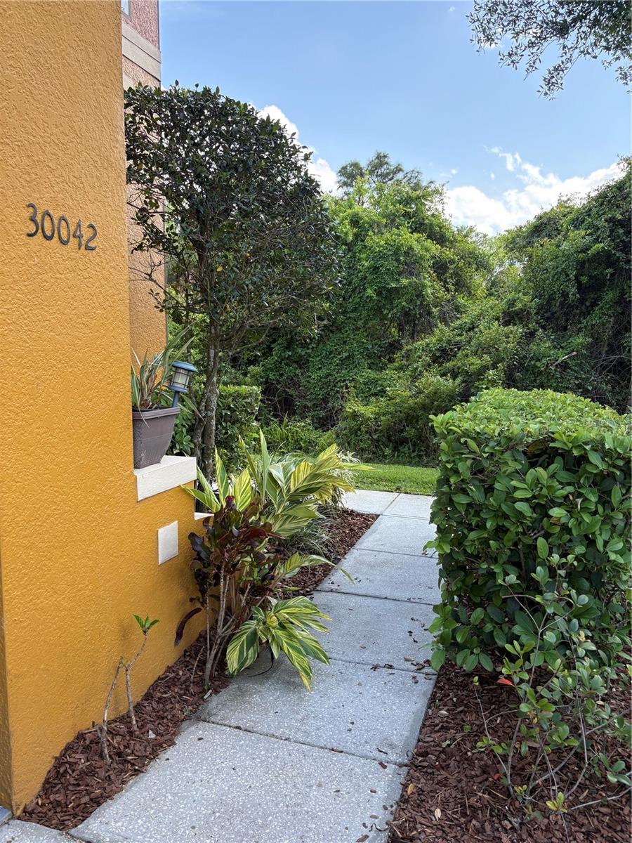 30042 MOSSBANK DR, WESLEY CHAPEL, FL, 33543