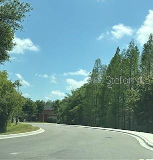 30042 MOSSBANK DR, WESLEY CHAPEL, FL, 33543