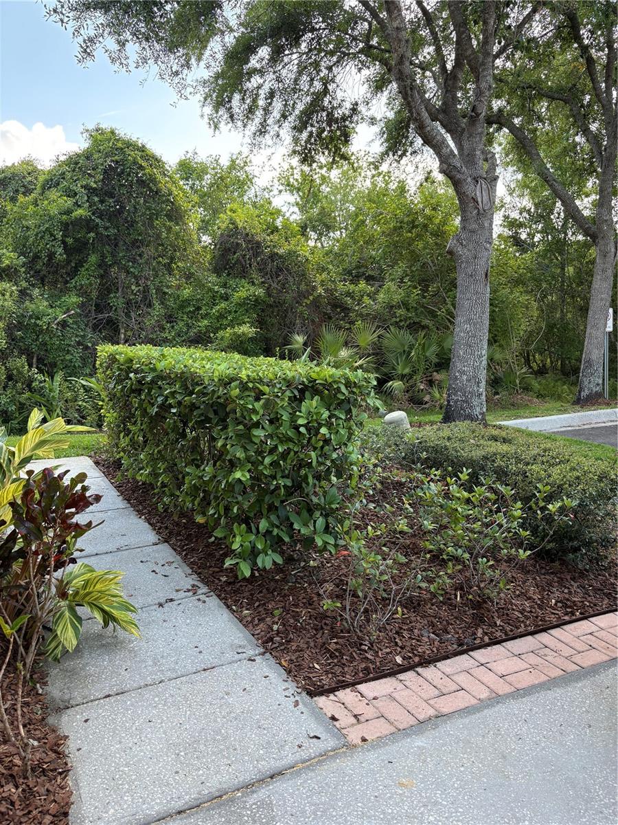 30042 MOSSBANK DR, WESLEY CHAPEL, FL, 33543