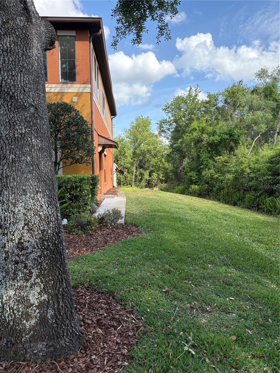 30042 MOSSBANK DR, WESLEY CHAPEL, FL, 33543