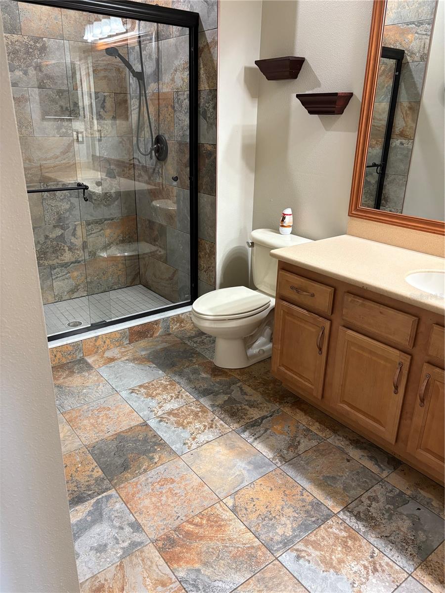 30042 MOSSBANK DR, WESLEY CHAPEL, FL, 33543