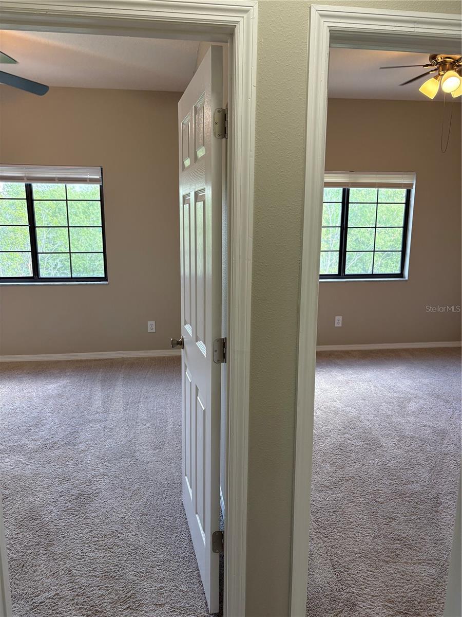 30042 MOSSBANK DR, WESLEY CHAPEL, FL, 33543