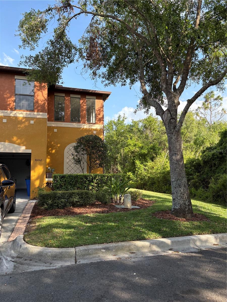 30042 MOSSBANK DR, WESLEY CHAPEL, FL, 33543