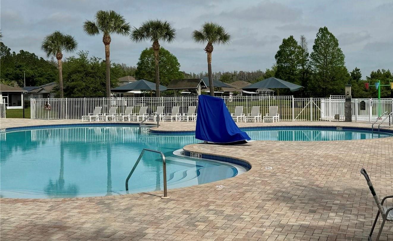 30042 MOSSBANK DR, WESLEY CHAPEL, FL, 33543