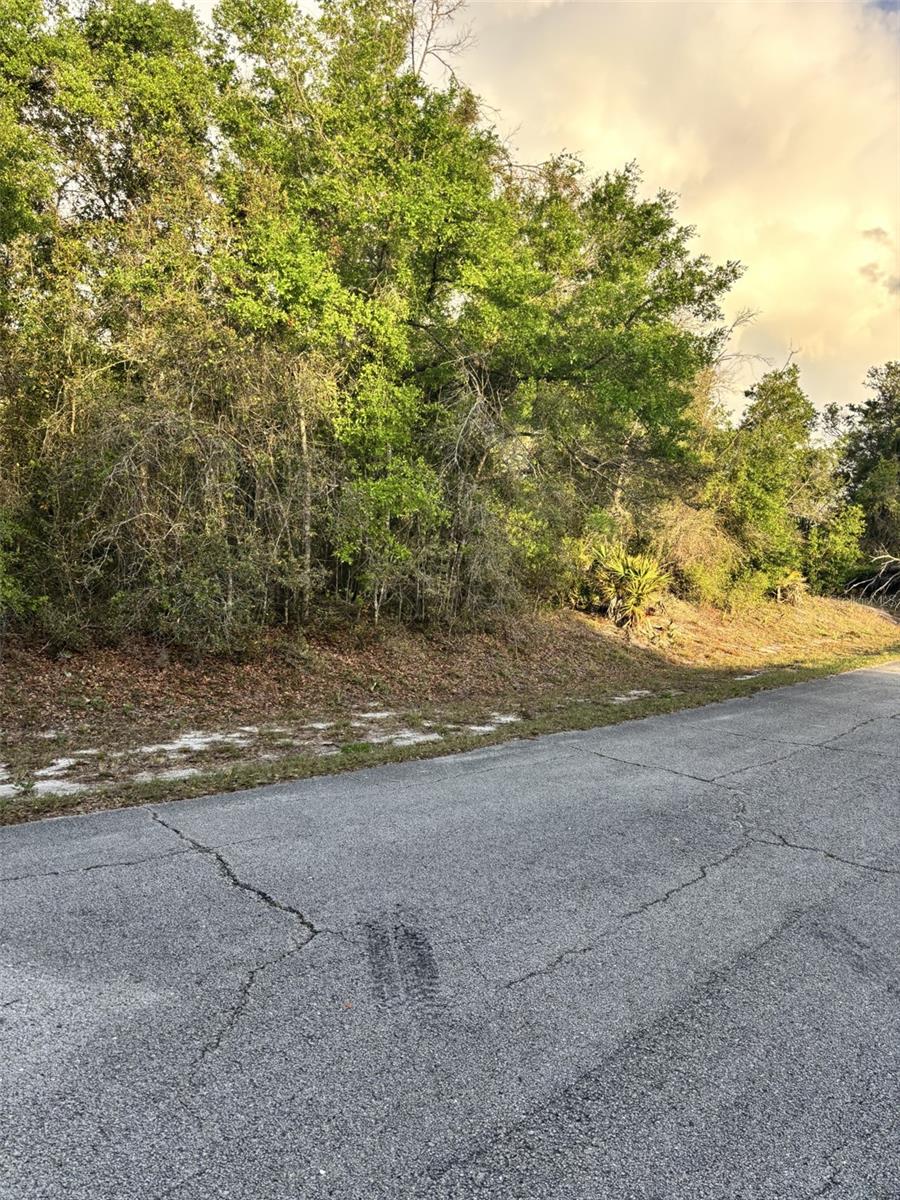 1421 STUART LN, POINCIANA, FL, 34759