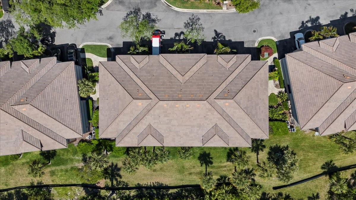 1015 NORMANDY TRACE RD, TAMPA, FL, 33602