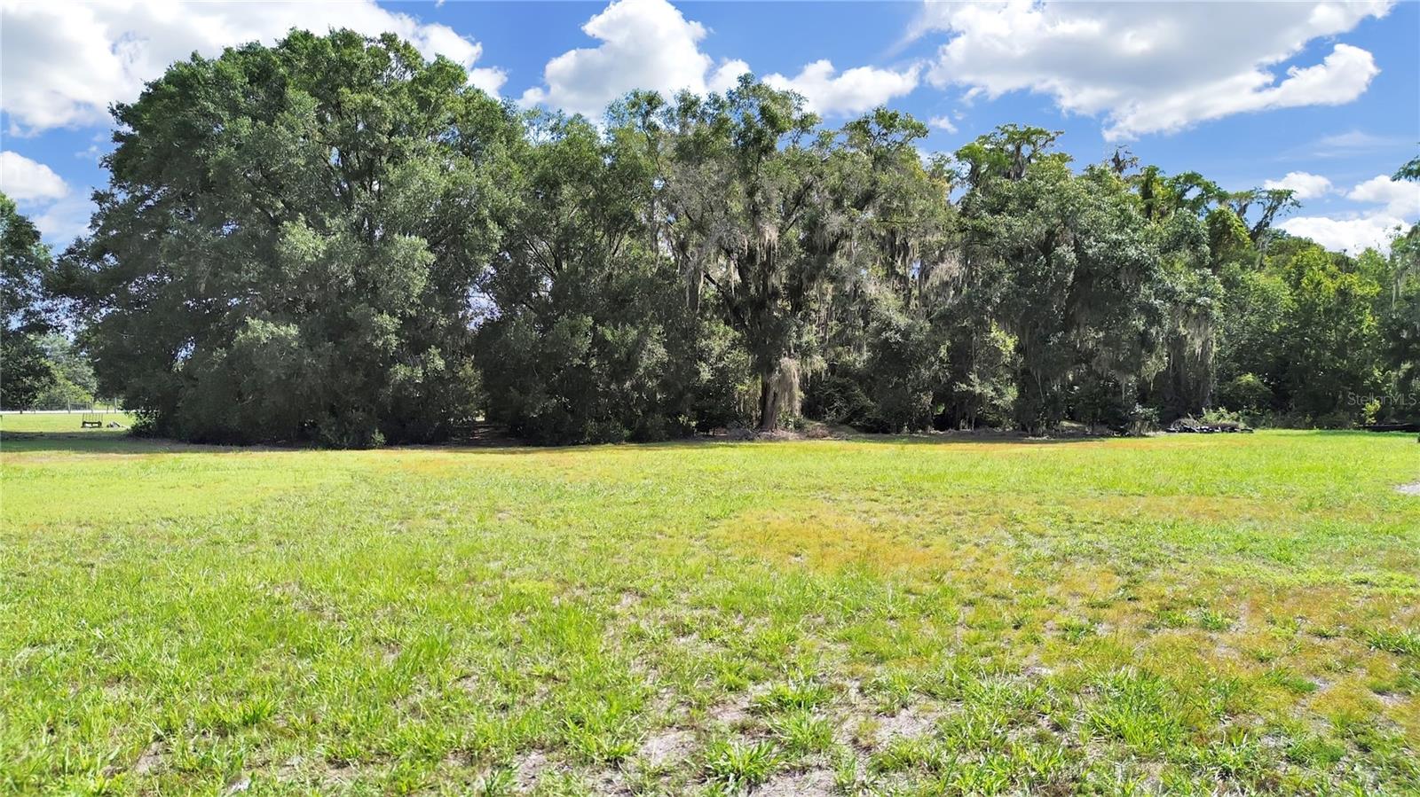 18150 BURRELL RD, ODESSA, FL, 33556