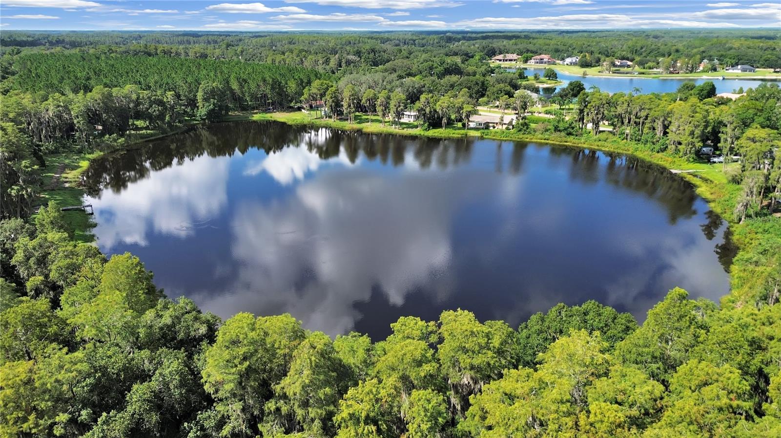 18150 BURRELL RD, ODESSA, FL, 33556