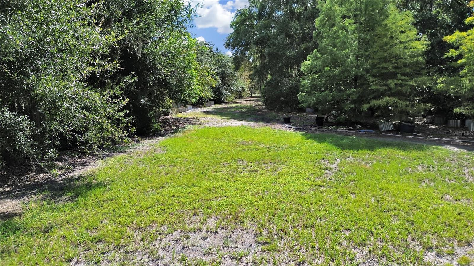 18150 BURRELL RD, ODESSA, FL, 33556