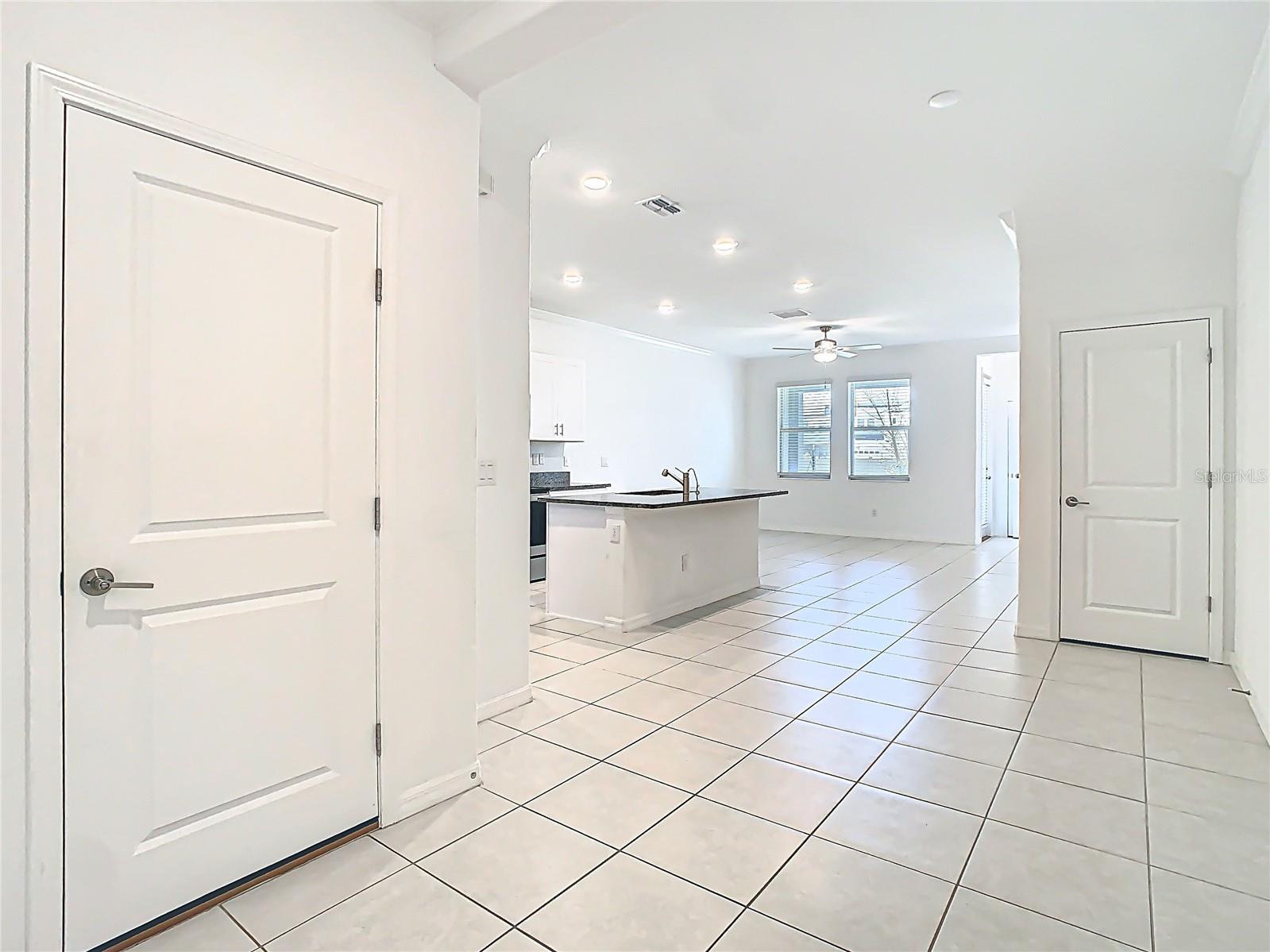 31771 BLUE PASSING LOOP, WESLEY CHAPEL, FL, 33545