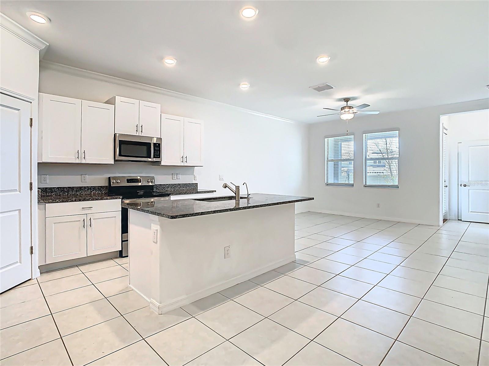 31771 BLUE PASSING LOOP, WESLEY CHAPEL, FL, 33545
