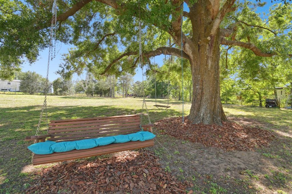 11209 JIM JORDAN RD, DADE CITY, FL, 33525