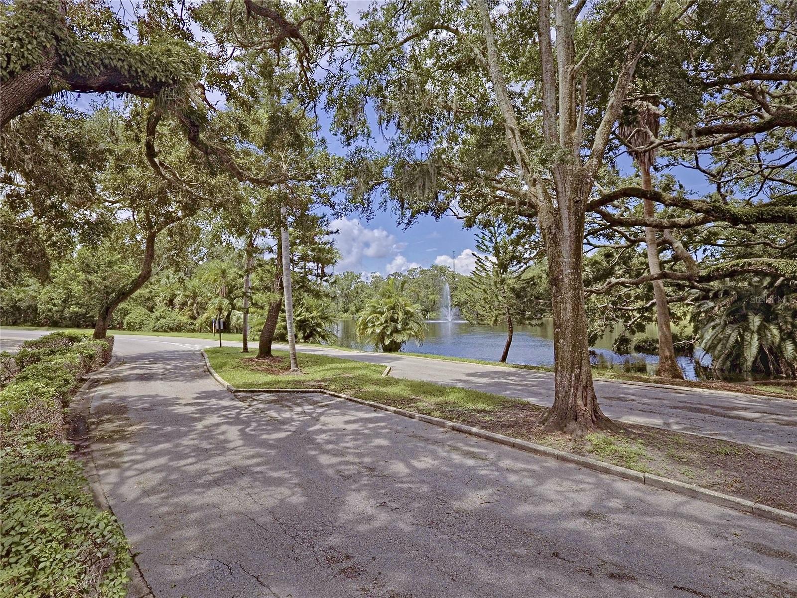 2725 14TH CT, PALM HARBOR, FL, 34684