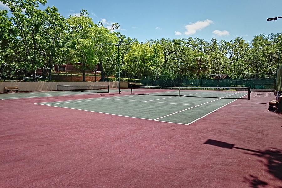 2725 14TH CT, PALM HARBOR, FL, 34684