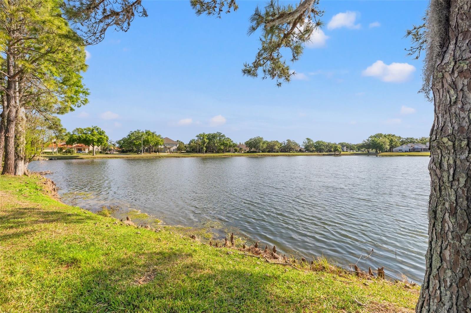 4121 HIGHLAND PARK CIR, LUTZ, FL, 33558