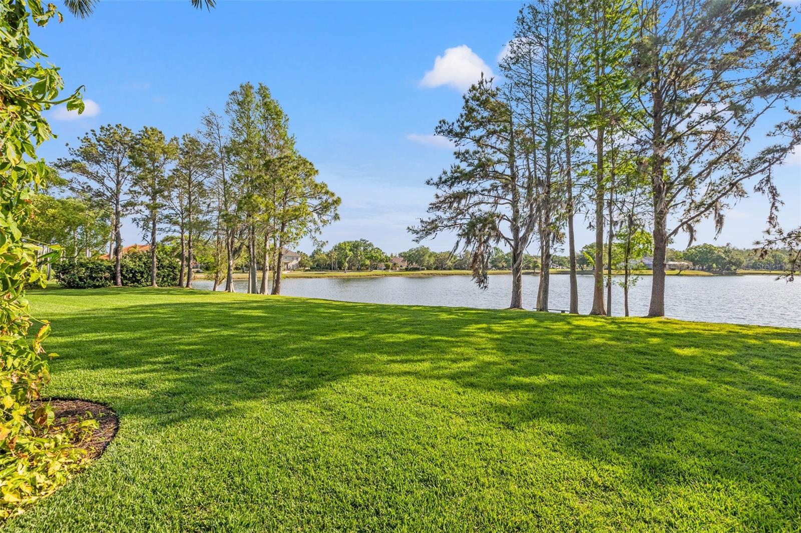 4121 HIGHLAND PARK CIR, LUTZ, FL, 33558
