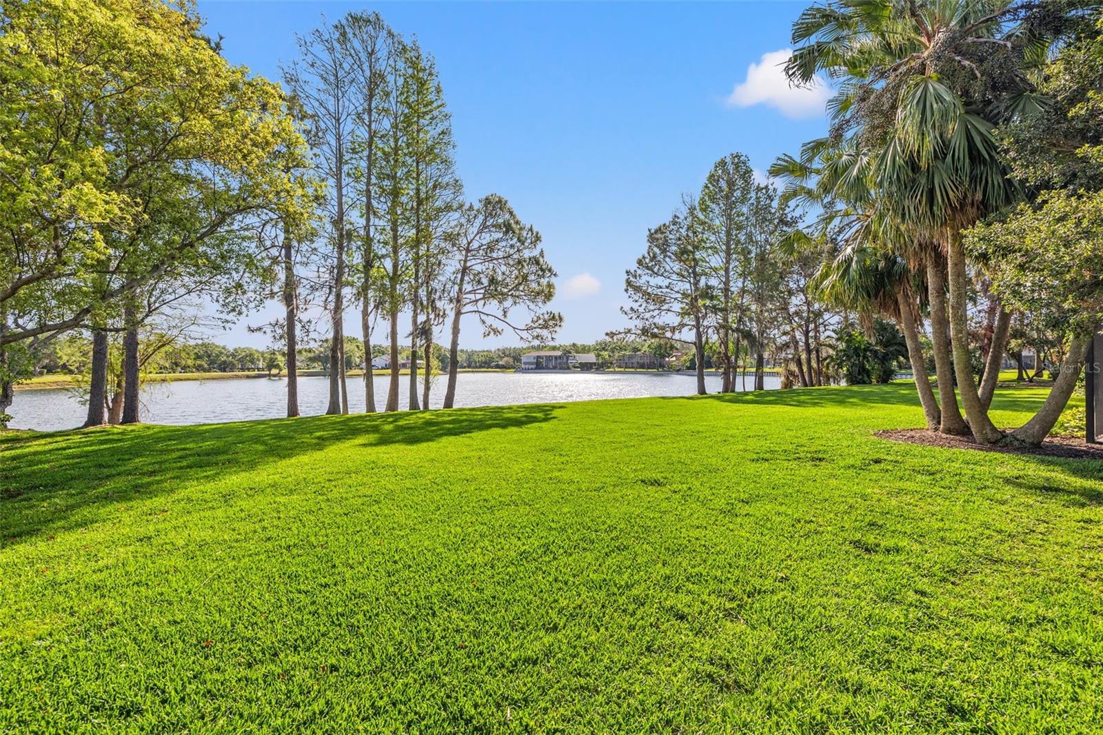 4121 HIGHLAND PARK CIR, LUTZ, FL, 33558