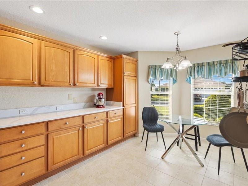 1561 LORIS LOOP, THE VILLAGES, FL, 32162