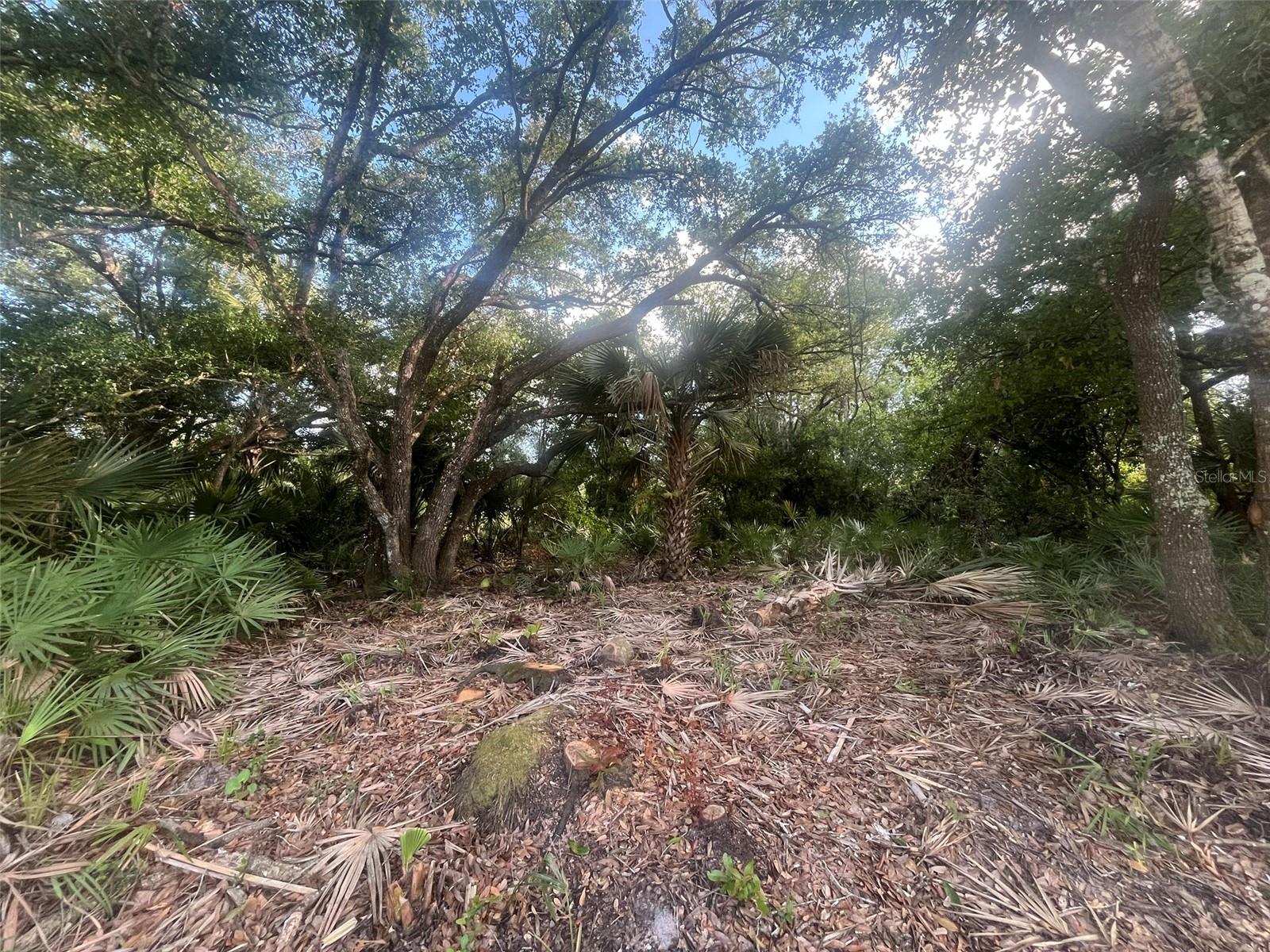 17774 NW 254TH ST, OKEECHOBEE, FL, 34972