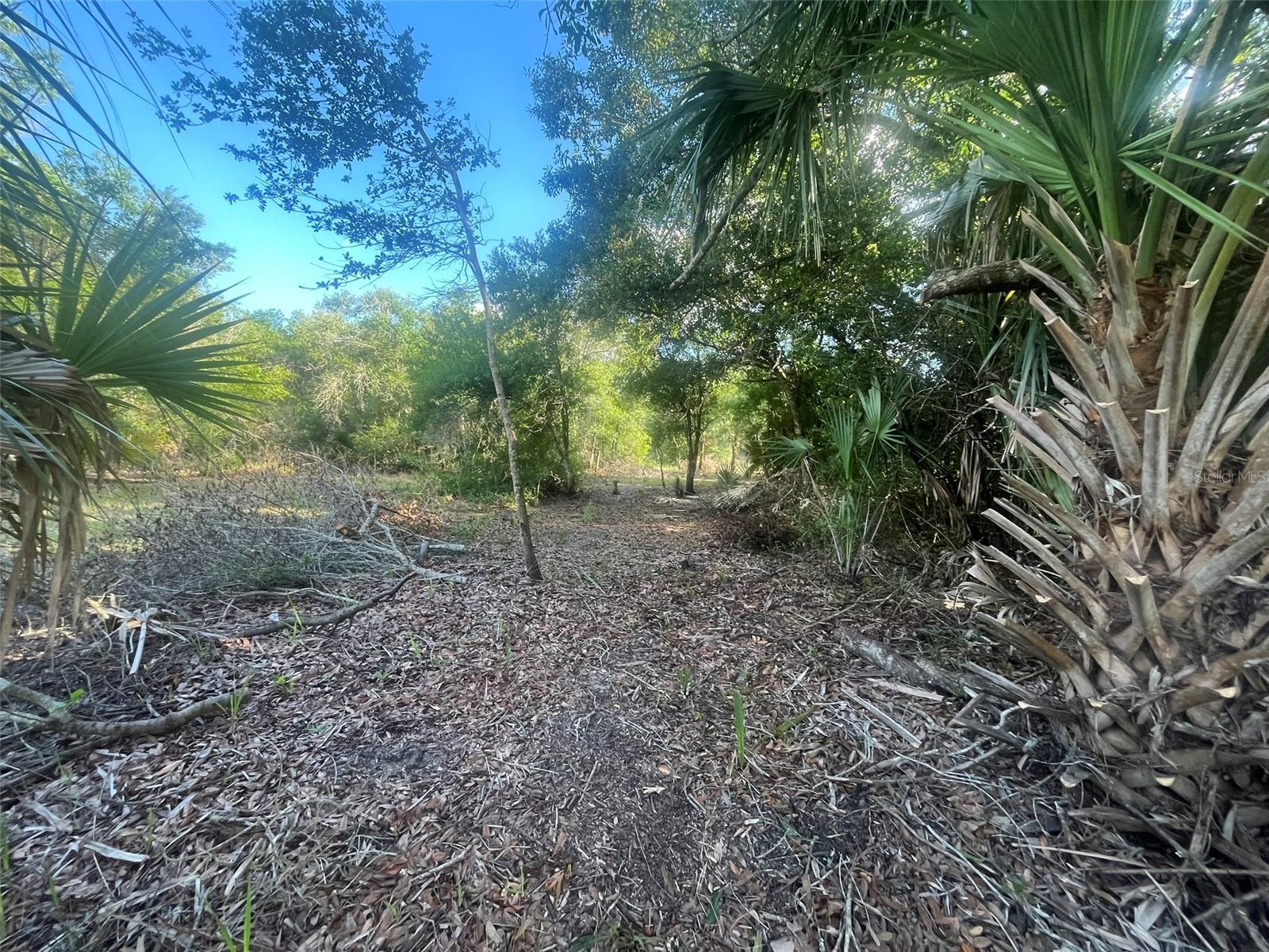 17774 NW 254TH ST, OKEECHOBEE, FL, 34972