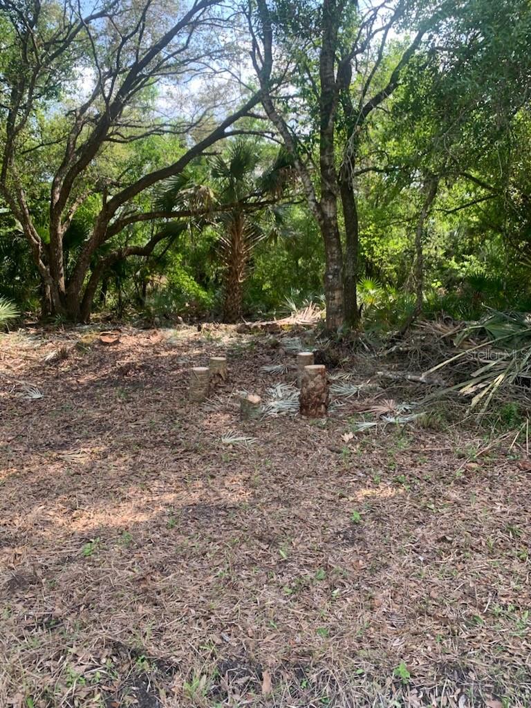 17774 NW 254TH ST, OKEECHOBEE, FL, 34972