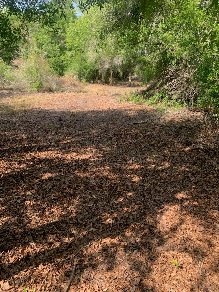 17774 NW 254TH ST, OKEECHOBEE, FL, 34972