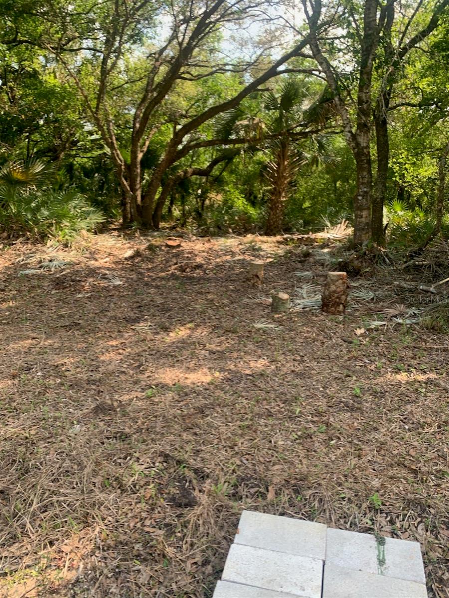 17774 NW 254TH ST, OKEECHOBEE, FL, 34972