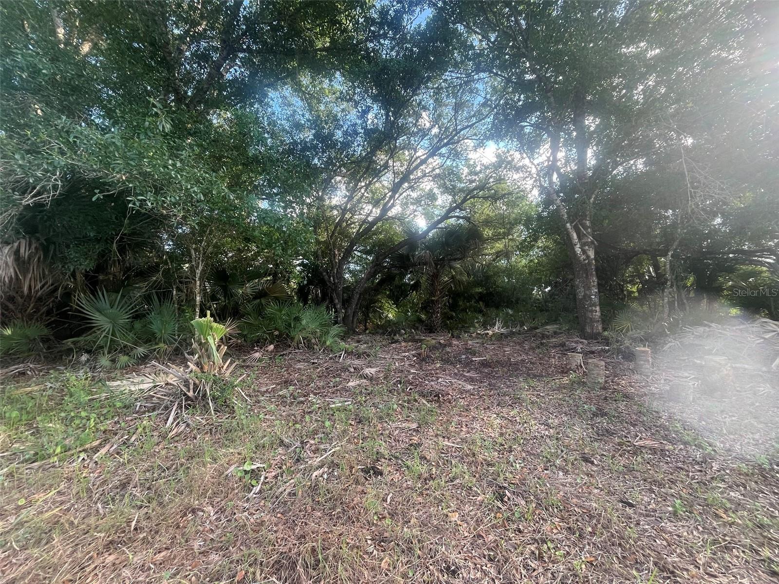 17774 NW 254TH ST, OKEECHOBEE, FL, 34972