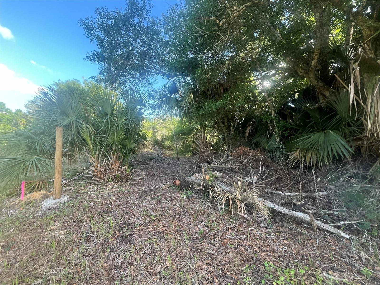 17774 NW 254TH ST, OKEECHOBEE, FL, 34972