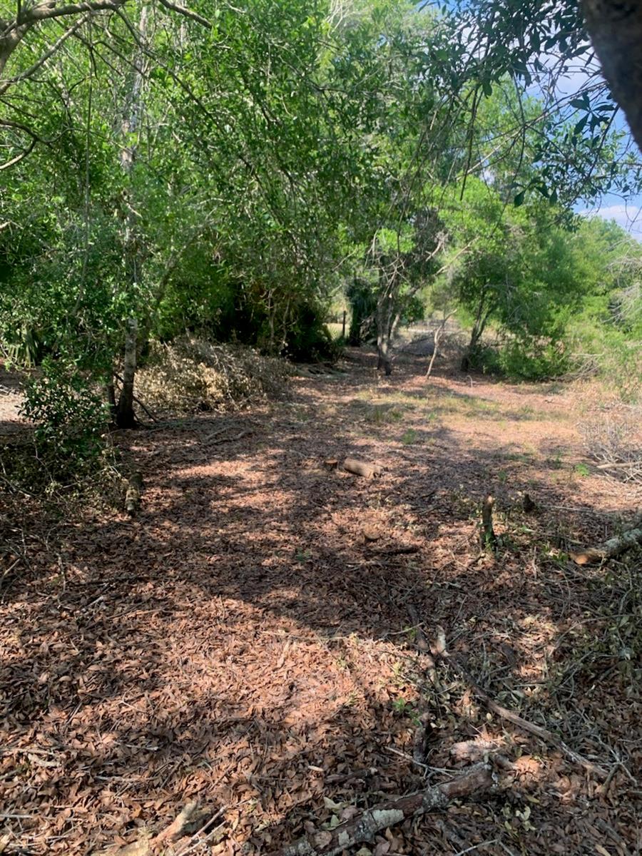 17774 NW 254TH ST, OKEECHOBEE, FL, 34972