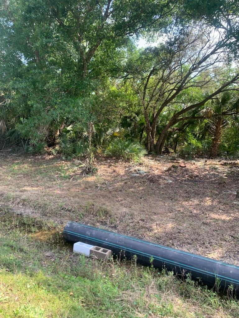 17774 NW 254TH ST, OKEECHOBEE, FL, 34972