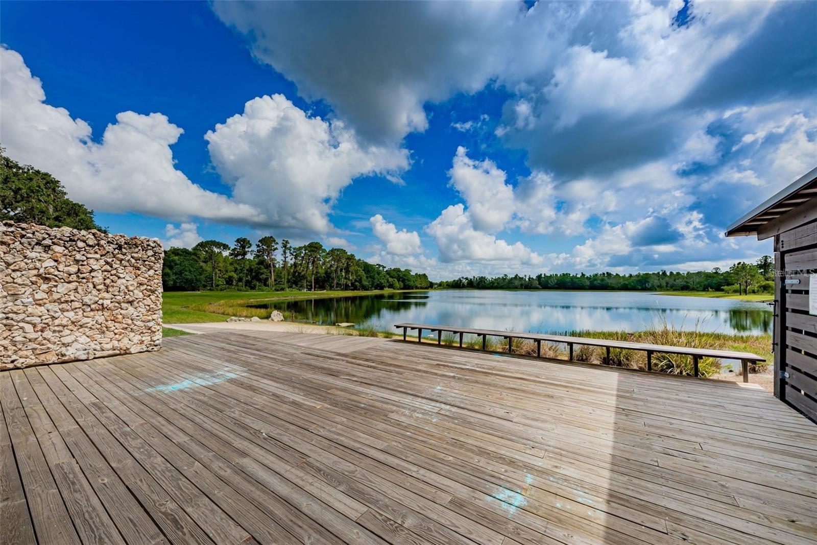 12280 LYON PINE LN, ODESSA, FL, 33556