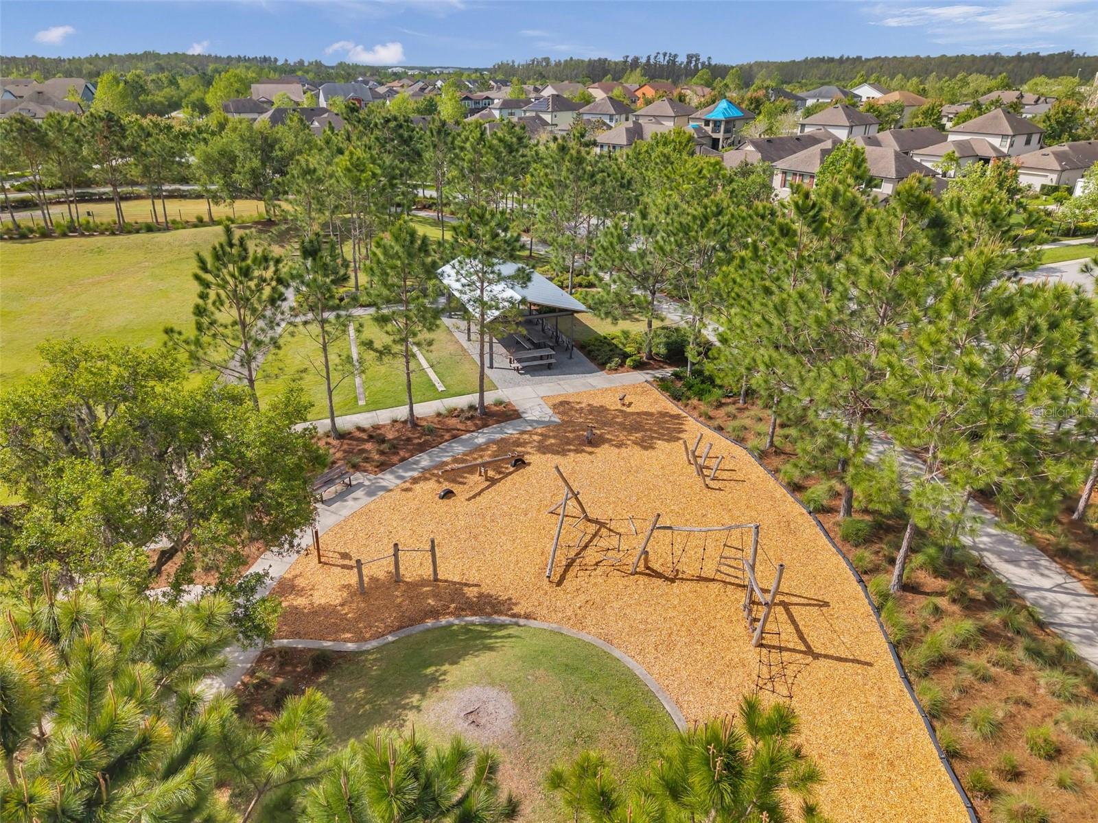 12280 LYON PINE LN, ODESSA, FL, 33556