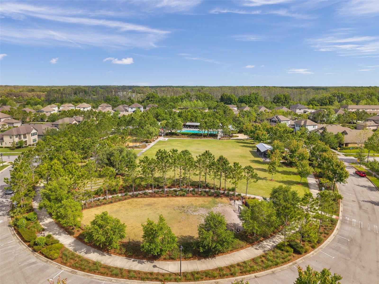 12280 LYON PINE LN, ODESSA, FL, 33556