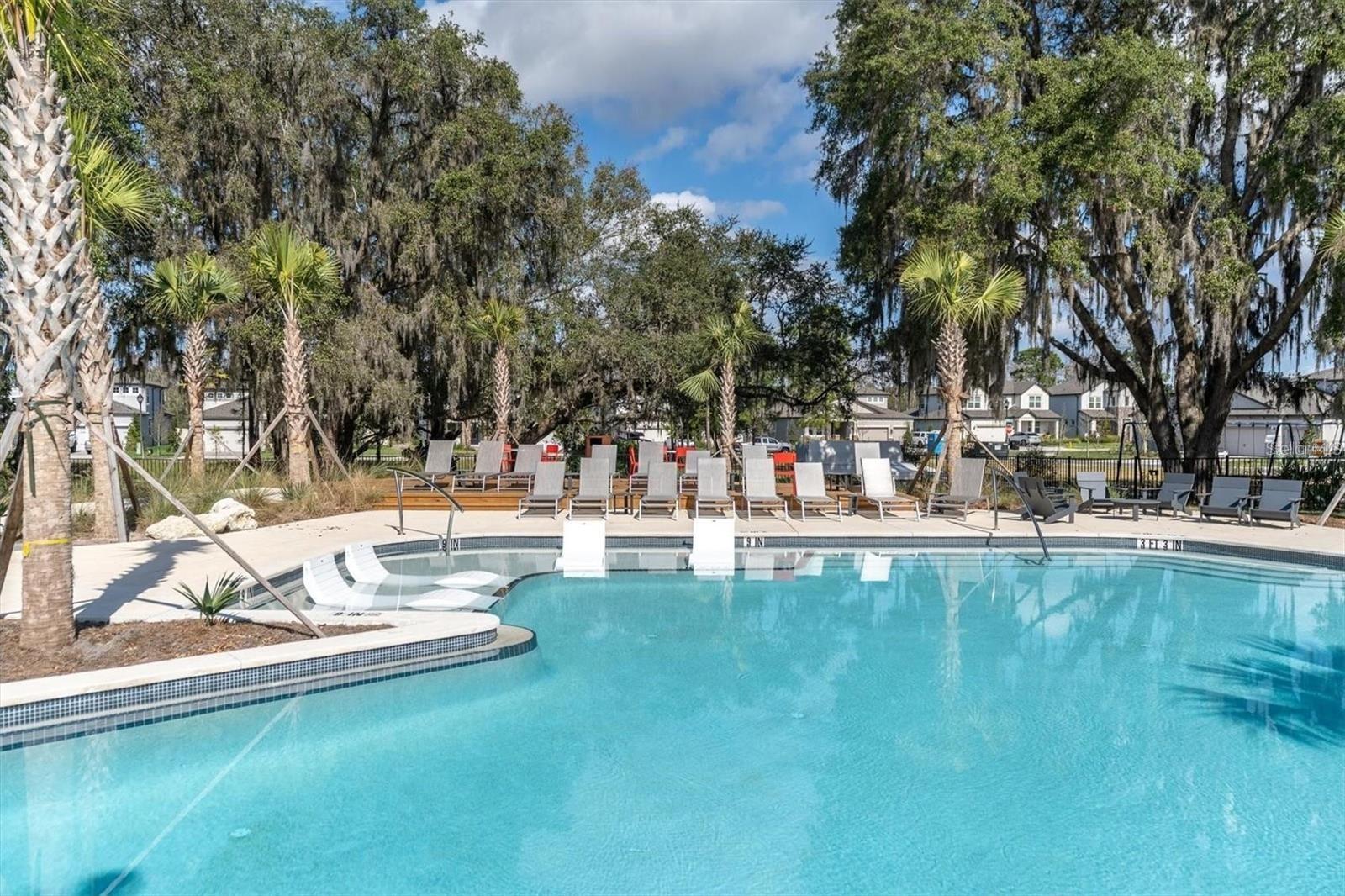 12280 LYON PINE LN, ODESSA, FL, 33556