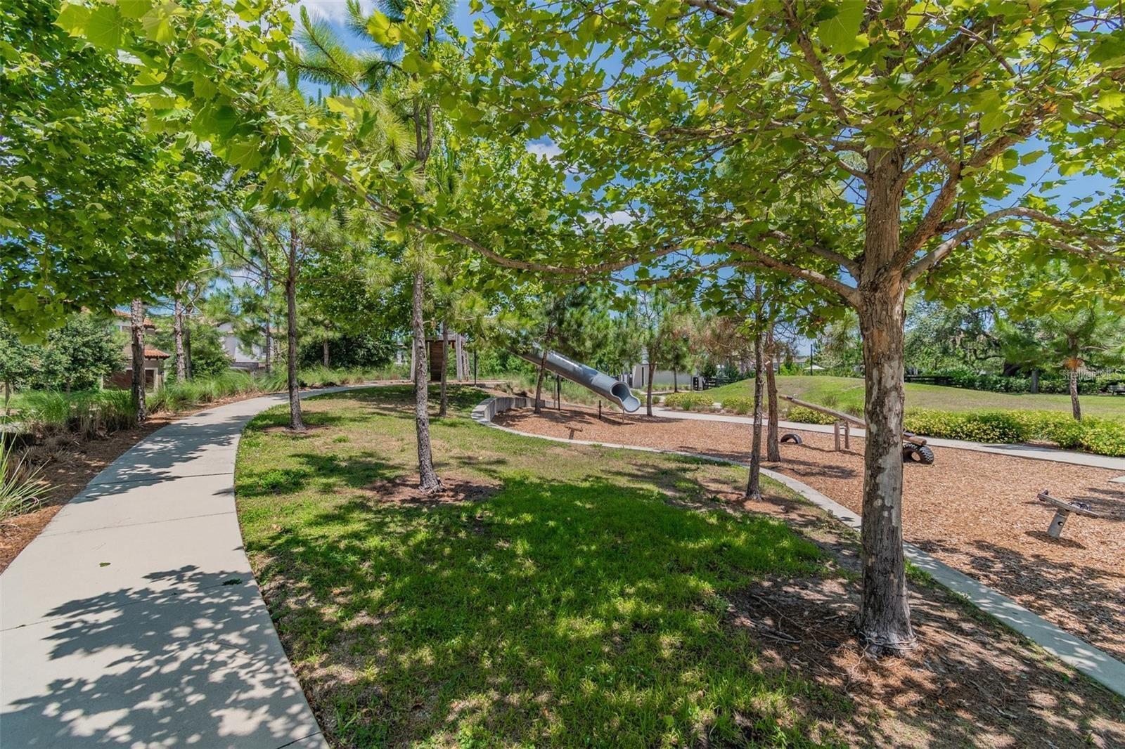12280 LYON PINE LN, ODESSA, FL, 33556