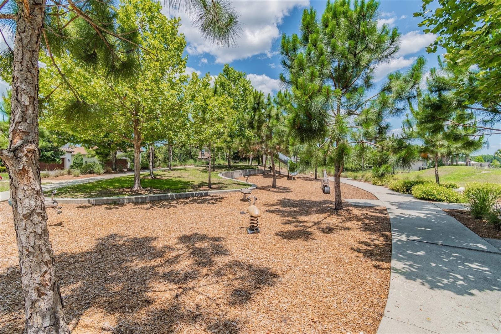 12280 LYON PINE LN, ODESSA, FL, 33556