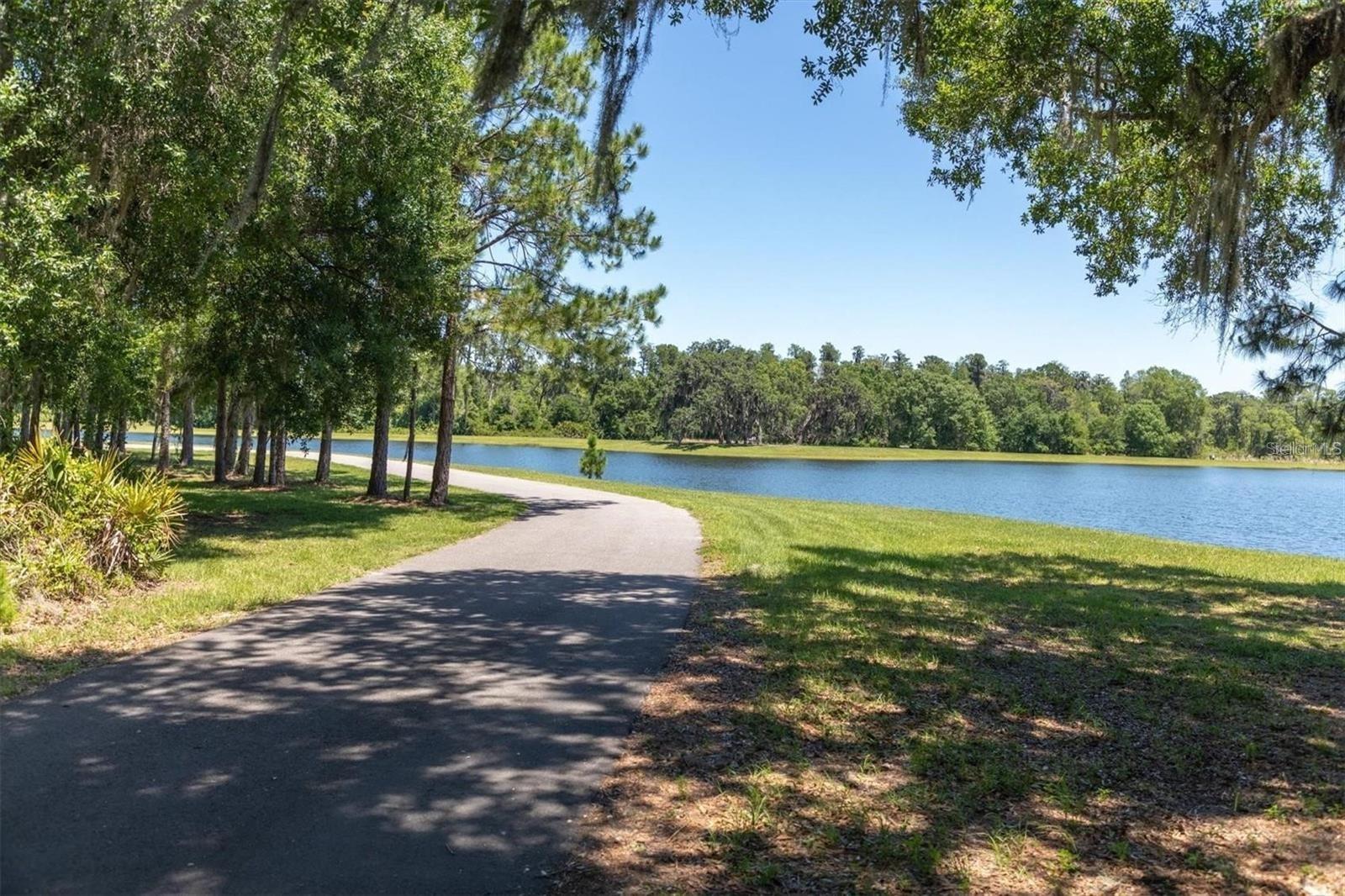 12280 LYON PINE LN, ODESSA, FL, 33556