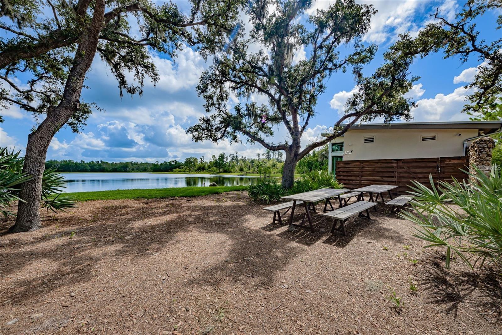 12280 LYON PINE LN, ODESSA, FL, 33556