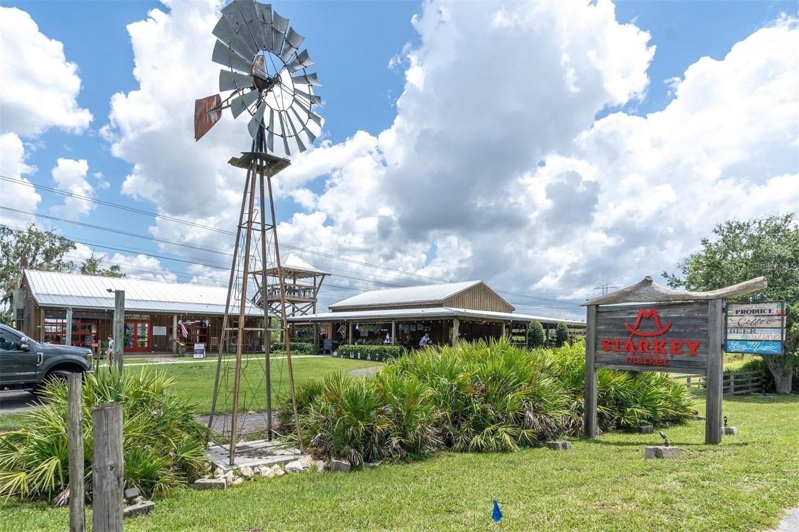 12280 LYON PINE LN, ODESSA, FL, 33556