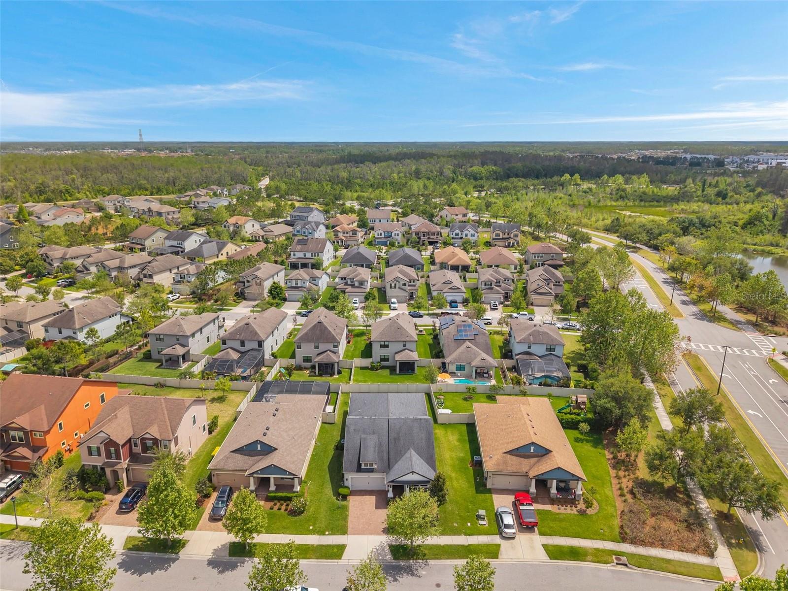 12280 LYON PINE LN, ODESSA, FL, 33556