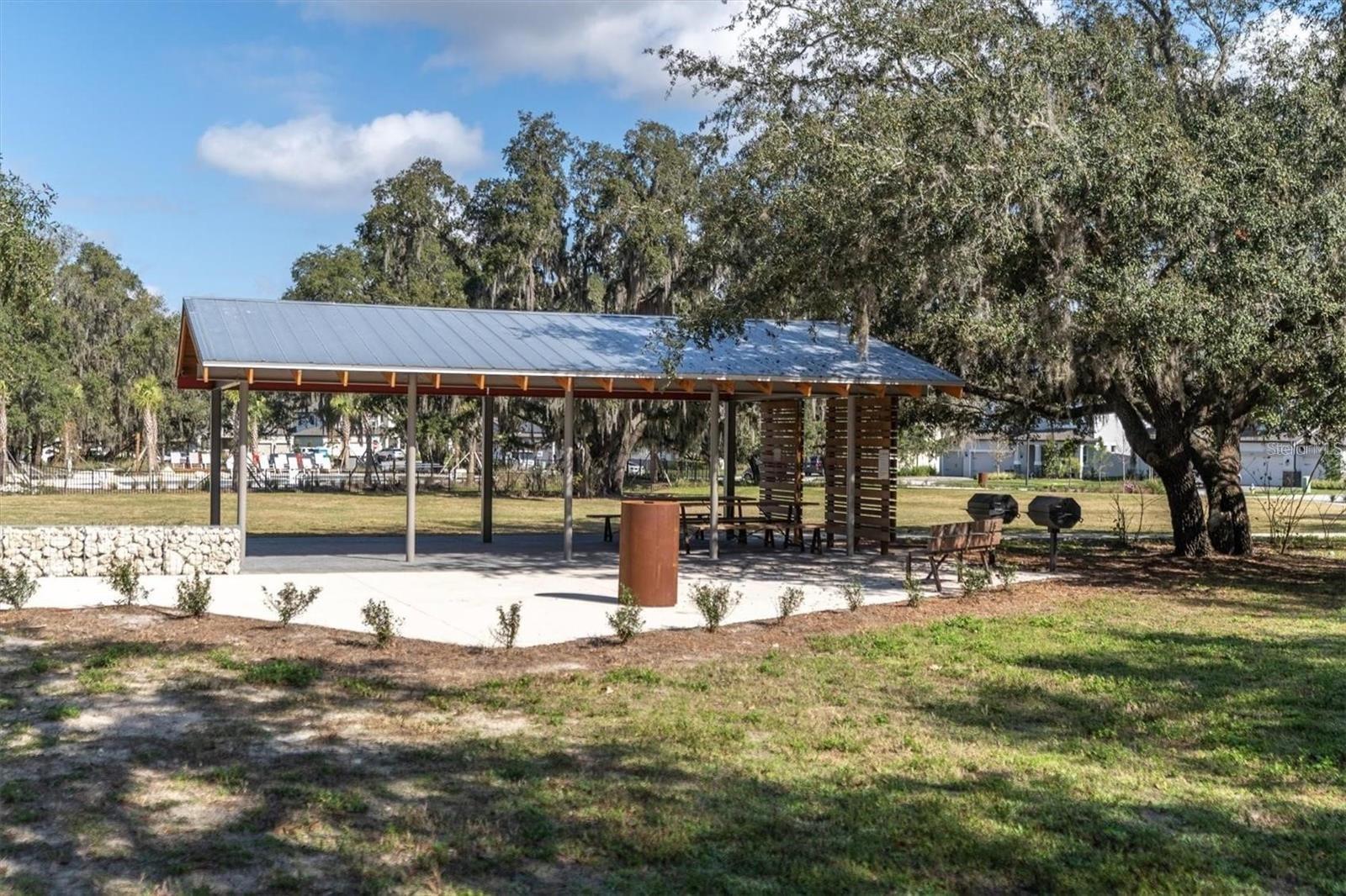 12280 LYON PINE LN, ODESSA, FL, 33556
