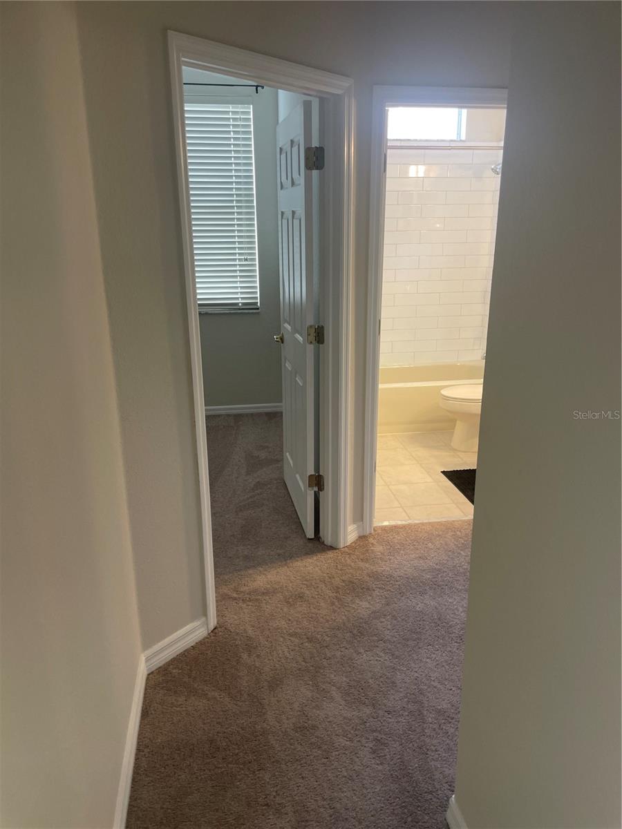 703 KELLYS CV, OCOEE, FL, 34761