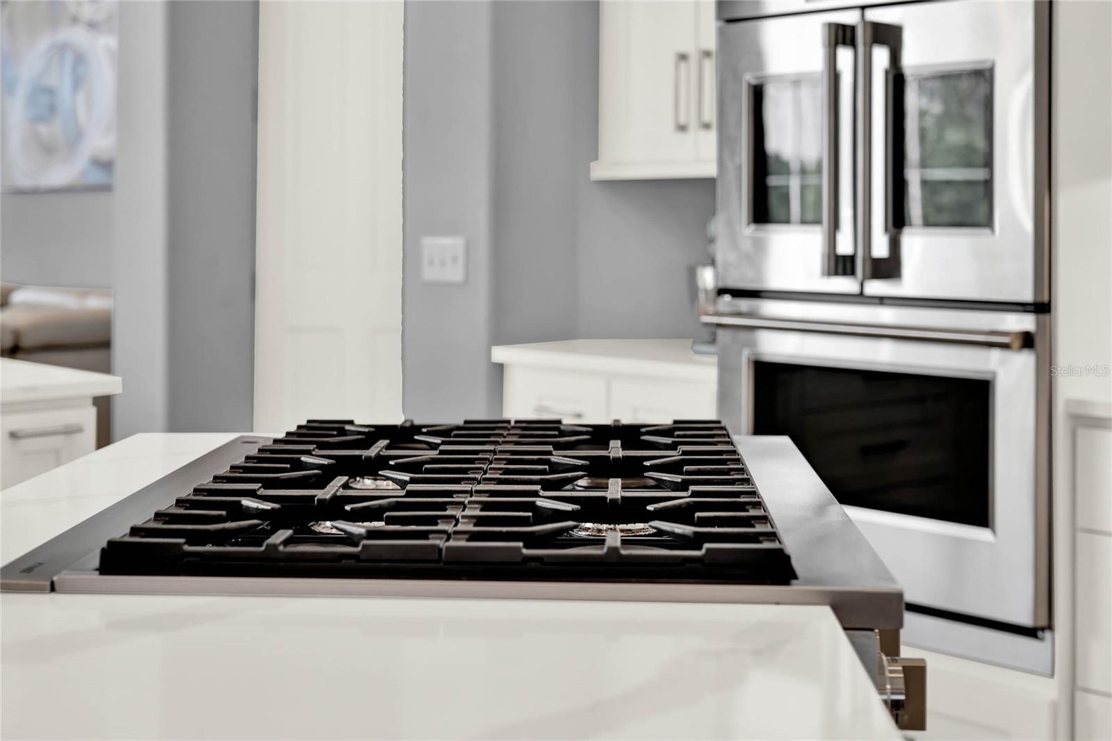 13112 LUNTZ POINT LN, WINDERMERE, FL, 34786