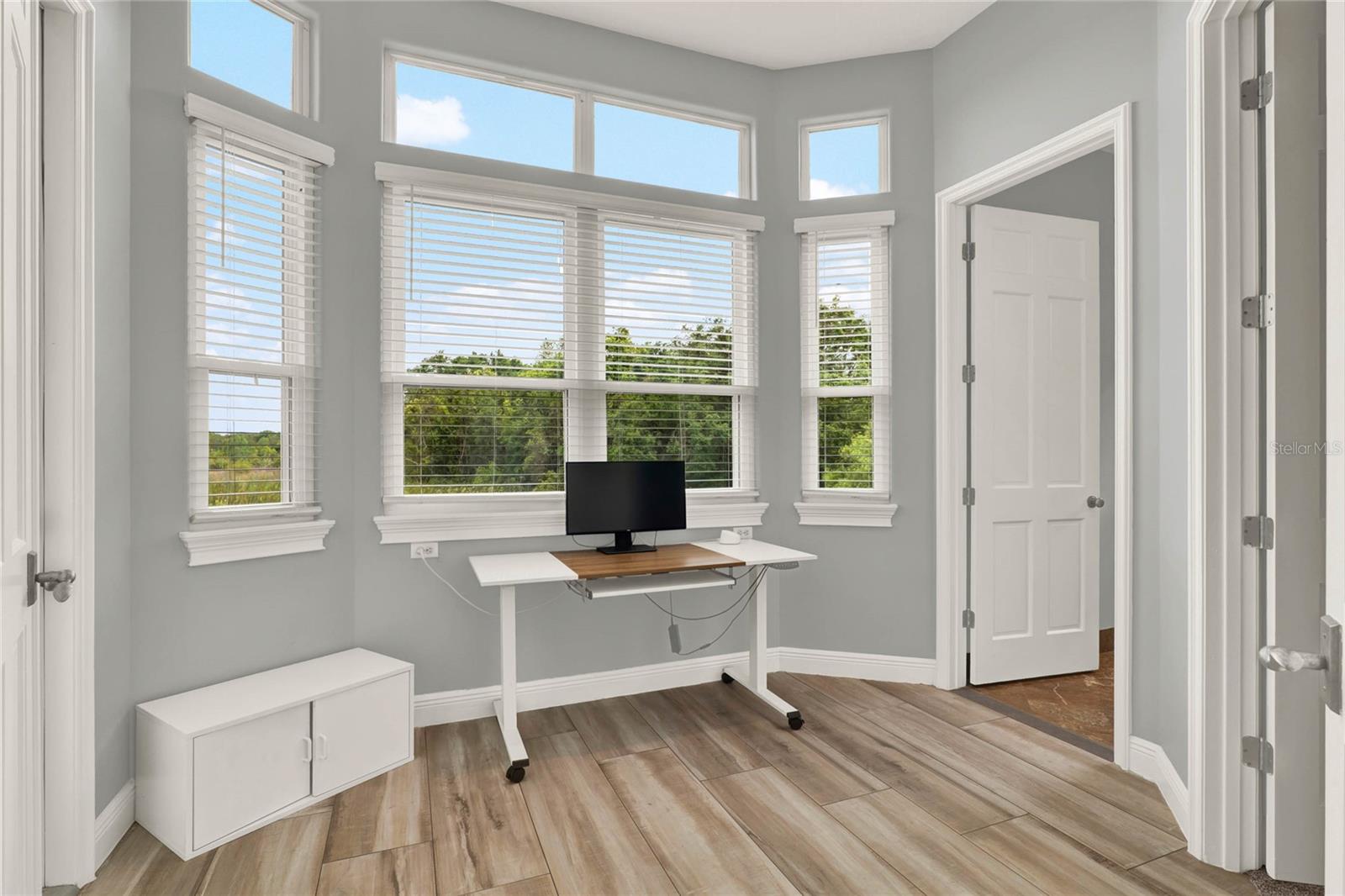 13112 LUNTZ POINT LN, WINDERMERE, FL, 34786