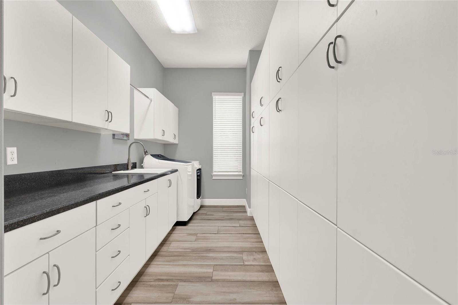 13112 LUNTZ POINT LN, WINDERMERE, FL, 34786